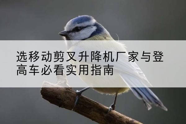 柳城电动升降机厂家-选移动剪叉升降机厂家与登高车必看实用指南