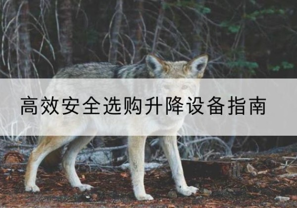 柳城升降货梯厂家推荐-*安全选购升降设备指南