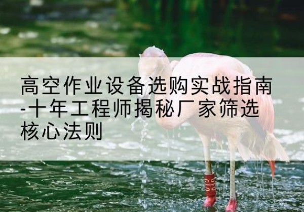 柳城剪叉式升降机厂家-高空作业设备选购实战指南-十年工程师揭秘厂家筛选核心法则